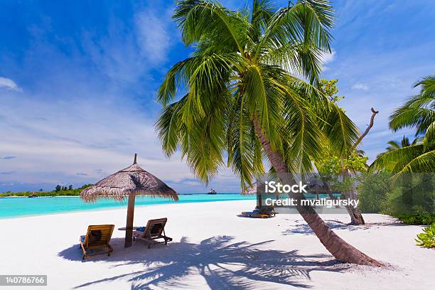 Deck Chairs Under Palm Trees On A Tropical Beach Stock Photo - Download Image Now - Bay of Water, Beach, Blue