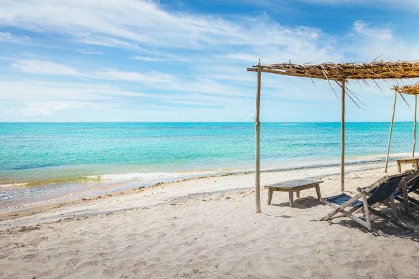 beach in praia do espelho beach with rustic palapa, Bahia, Brazil