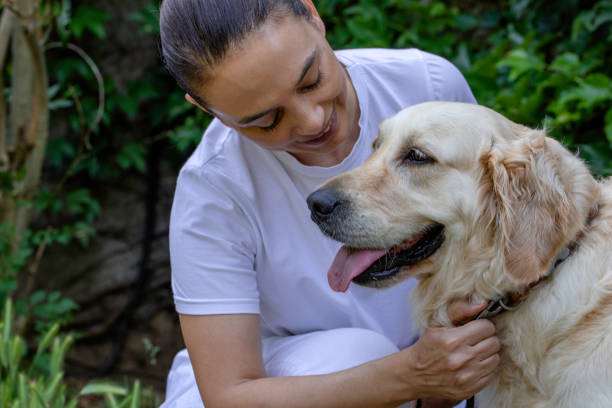 istock Golden Retriver with His Owner 1407874538