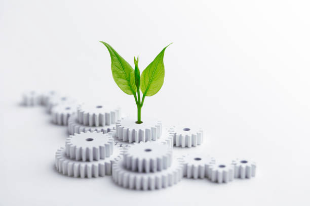 Green Business Concept