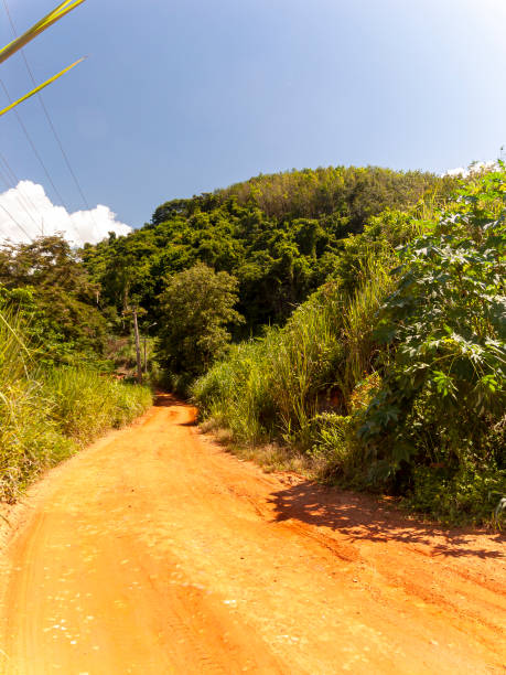 istock Dirt road. Rural Landscape. Blue sky with few clouds. trees. 1407877988