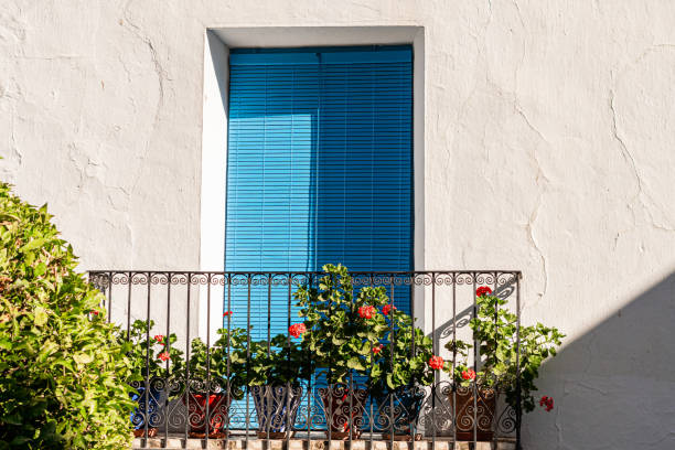 Balcony adorned with plants and flowers, with blue shutter, Mediterranean style.