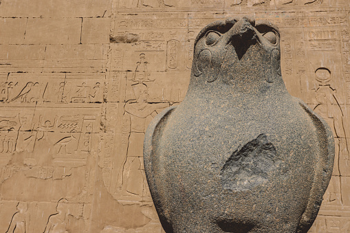 An Ancient Egyptian God Horus Statue as the View of Falcon Bird in the Temple of Edfu, Egypt