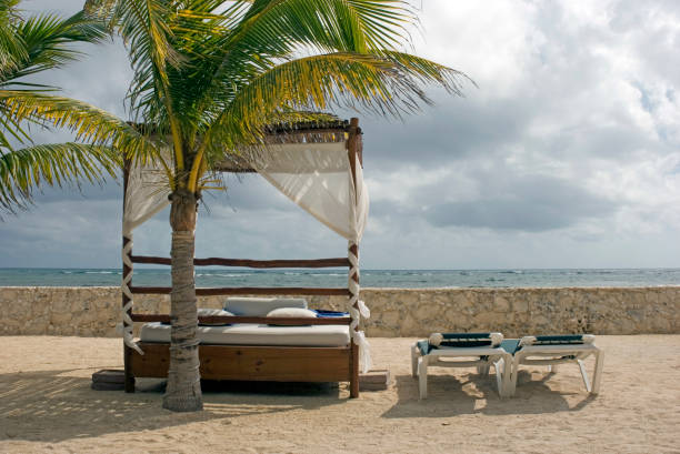 istock Beach shed and chairs by a palm tree 1407879672