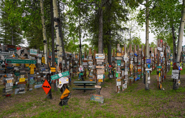Sign Post Forest, Yukon,Canada stock photo