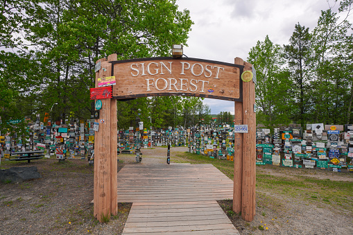 Sign Post Forest, Yukon,Canada