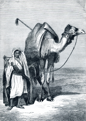 Nomadic Camel owner with his camel ready for a journey.
