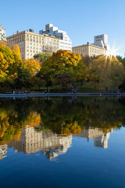 una riflessione autunnale a central park new york - autumn park central park lake foto e immagini stock