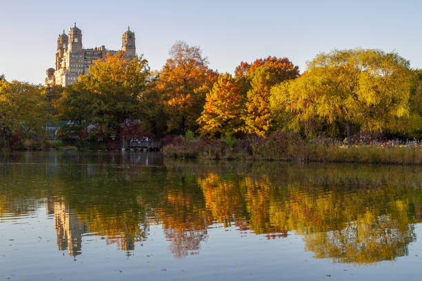 istock An autumn reflection in Central Park New York 1407887478