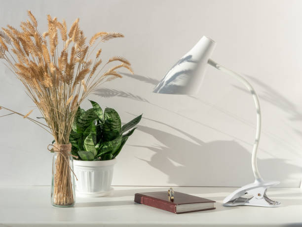istock A white lamp on a table in a bright interior, a house plant and a dried flower, a notebook, beautiful shadows on the wall 1407891073