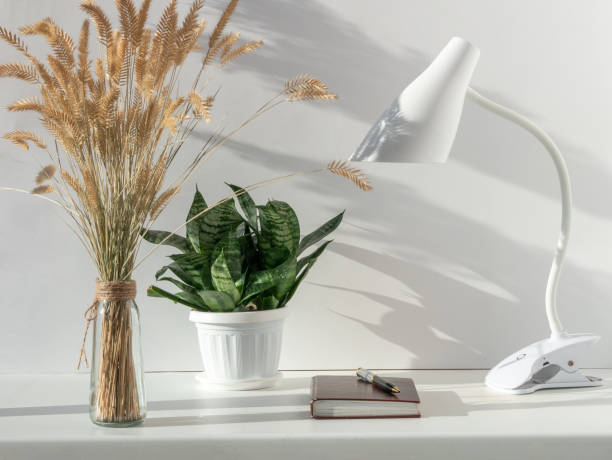 istock A white lamp on a table in a bright interior, a house plant and a dried flower, a notebook, beautiful shadows on the wall 1407891160