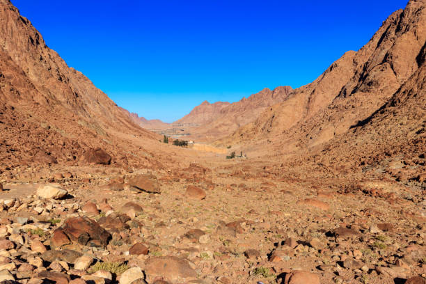 istock View of Saint Catherine's monastery (or Sacred Monastery of the God-Trodden Mount Sinai) in Sinai Peninsula, Egypt 1407892771