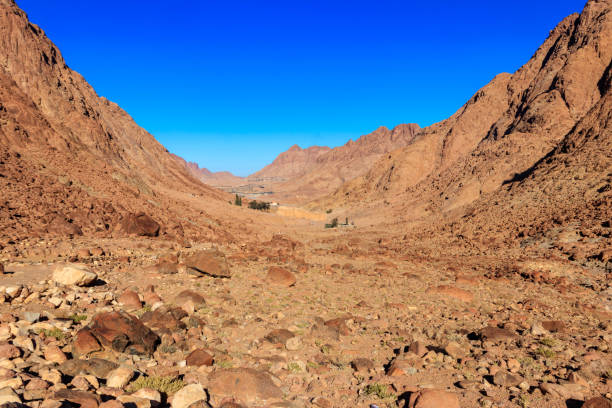 vista do mosteiro de santa catarina (ou mosteiro sagrado do monte sinai de deus) na península do sinai, egito - 7603 - fotografias e filmes do acervo