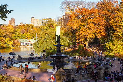 New York, NY - November 10 2021:  People gathering under autumn colors in Central Park