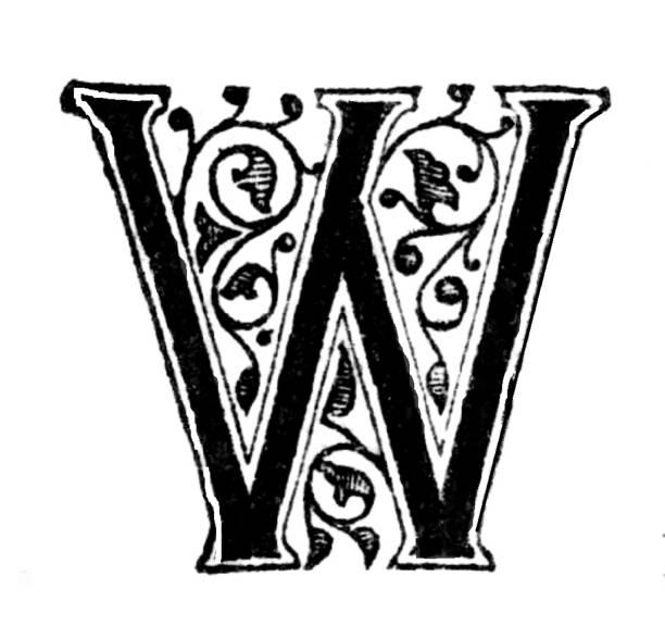 буква w, богато украшенная - ornate text medieval illuminated letter engraved image stock illustrations