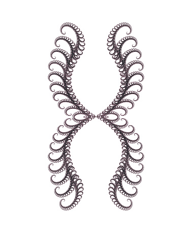 abstract X chromosome or microorganism