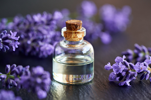 A transparent bottle of essential oil with fresh lavender flowers on dark background