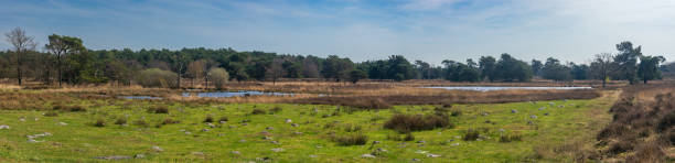 istock Panoramic view from The Maasduinen in The Netherlands 1407902619