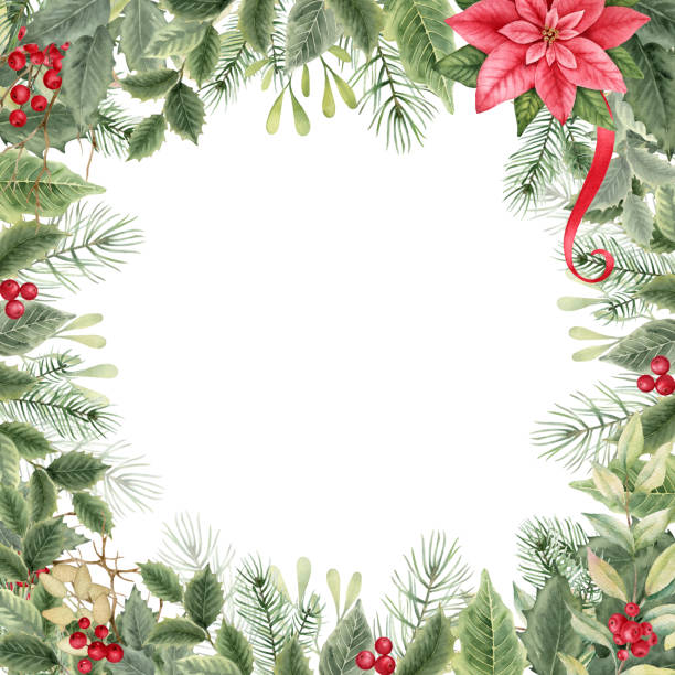 рождественская цветочная рамка с пуансеттией, ягодами падуба, листьями. - poinsettia christmas wreath flower stock illustrations