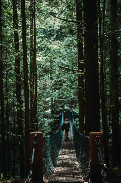 istock Man walking on a hanging bridge in a forest. 1407906913