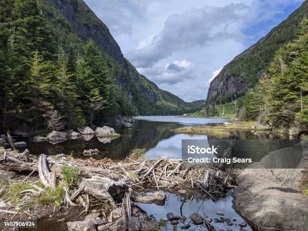Beaver Dam At Avalanche Stock Photo - Download Image Now - Adirondack State Park, Beauty In Nature, Color Image