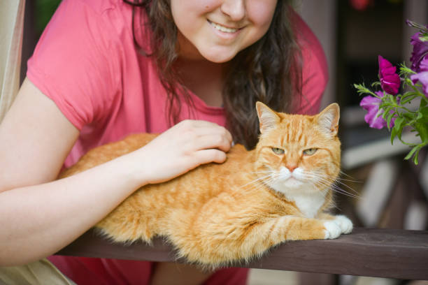 istock woman with british shorthair cat 1407908751