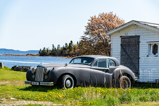 A vintage Jaguar parked on the lawn in the backyard at the waterfront, Bonavista, newfoundland, Canada.
