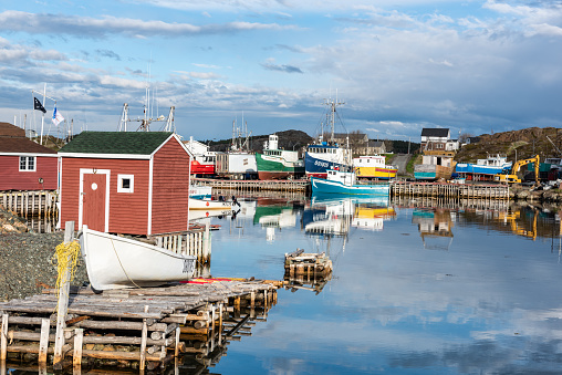 The harbour and fishing boats in the morning, Twillingate, Canada.