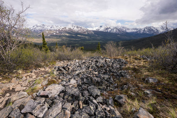 A captivating view of the Dempster Highway during autumn, framed by the dramatic beauty of towering mountains and the vibrant hues of yellow and red foliage that blanket the landscape. The cloudy, overcast sky adds a moody and atmospheric touch to the scene, enhancing the rugged wilderness appeal of this remote Canadian highway. Stretching through the vast tundra and pristine landscapes of the Yukon and Northwest Territories, the Dempster Highway is a haven for nature enthusiasts, photographers, and adventurers seeking solitude and natural beauty. This iconic road trip destination showcases the breathtaking seasonal transformation of the northern wilderness, making it an unforgettable experience for travelers.
