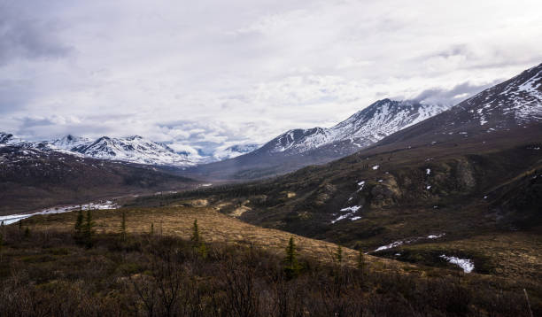 istock Tombstone Territorial Park 1407911264