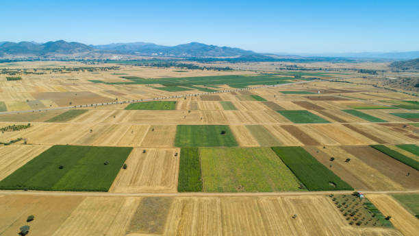 istock large agricultural production and agricultural fields 1407911569