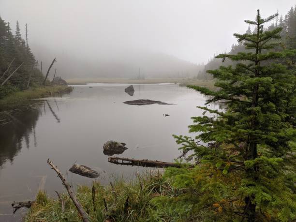 istock Lake Tear of the Clouds 1407911807