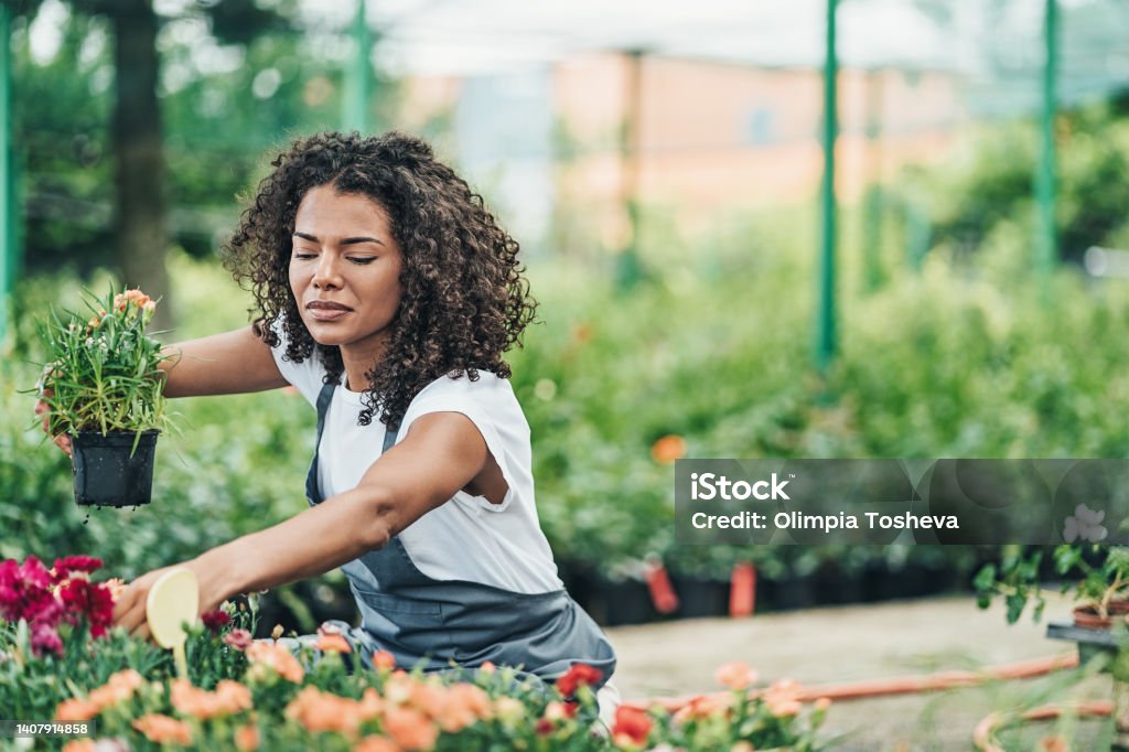 Beautiful young woman gardening at the garden center, arranging plants. Beautiful young woman gardening at the garden center, arranging plants.  Horizontal photo. 30-34 Years Stock Photo