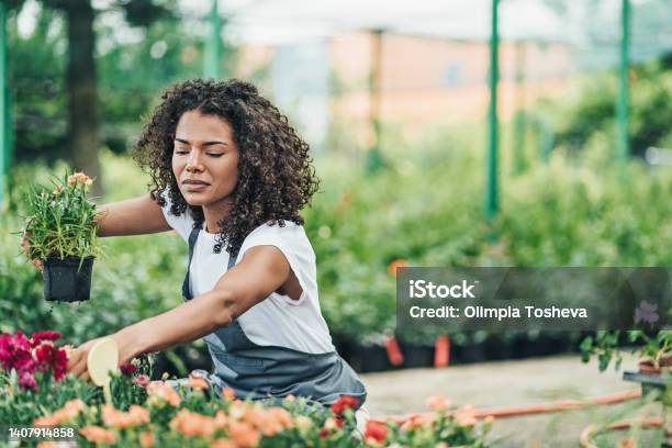 Beautiful Young Woman Gardening At The Garden Center Arranging Plants Stock Photo - Download Image Now