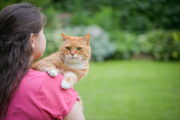 istock woman with british shorthair cat 1407915128