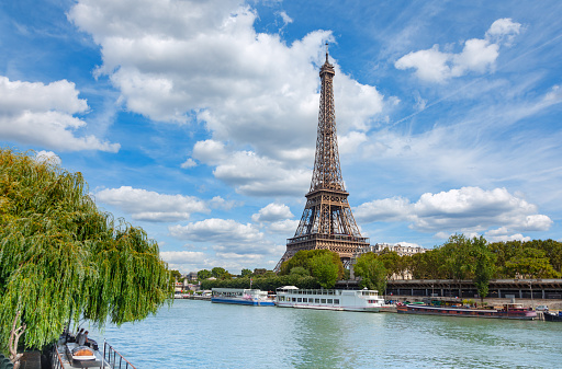 Panoramic shot of Eiffel Tower and Champ-de-Mars in Paris, France