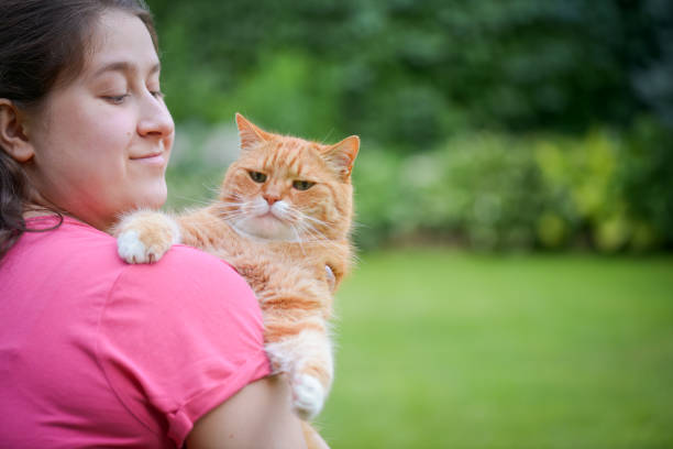 istock woman with british shorthair cat 1407915922