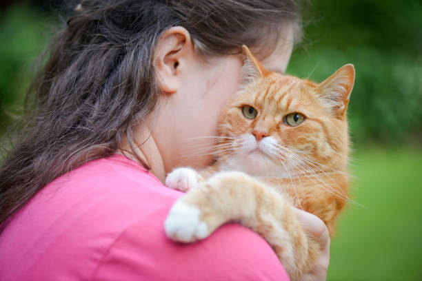 istock woman with british shorthair cat 1407916020