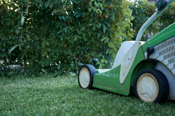 istock Electric lawn mower on freshly mowed grass 1407917053