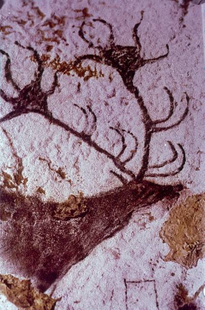Stone Age wall painting in the Lascaux cave