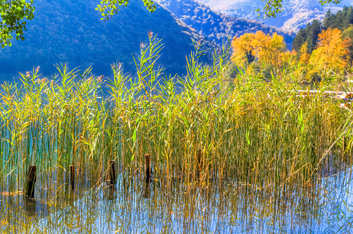 Great Pliva lake landscape during sunny autumn day.