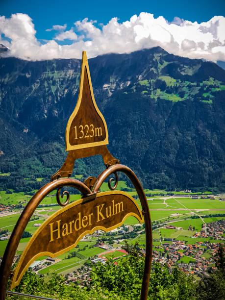 szczyt góry harder kulm - interlaken mountain meadow switzerland zdjęcia i obrazy z banku zdjęć