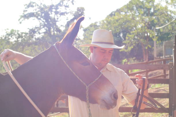 istock cowboy riding a donkey 1407927522
