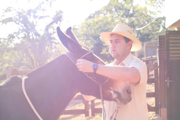 istock cowboy riding a donkey 1407927569