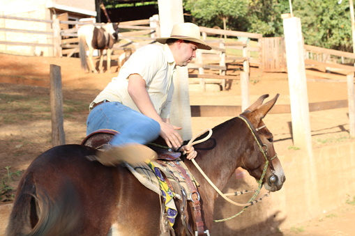 country man riding a mule