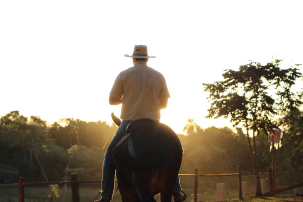 istock cowboy riding a donkey 1407927720