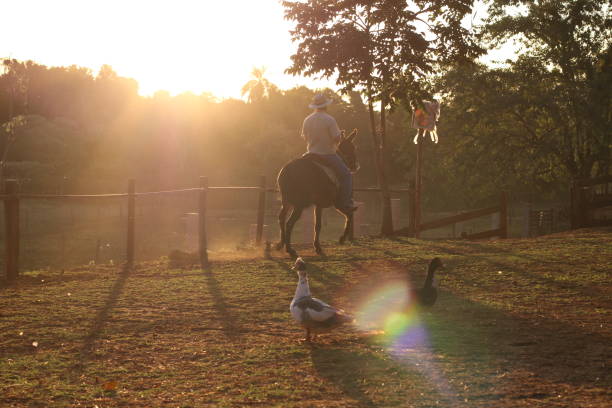country man riding a mule