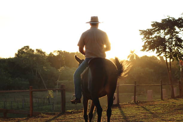 istock cowboy riding a donkey 1407927773
