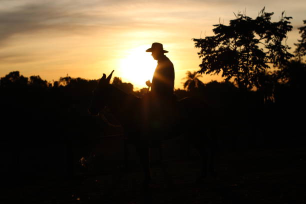 country man riding a mule