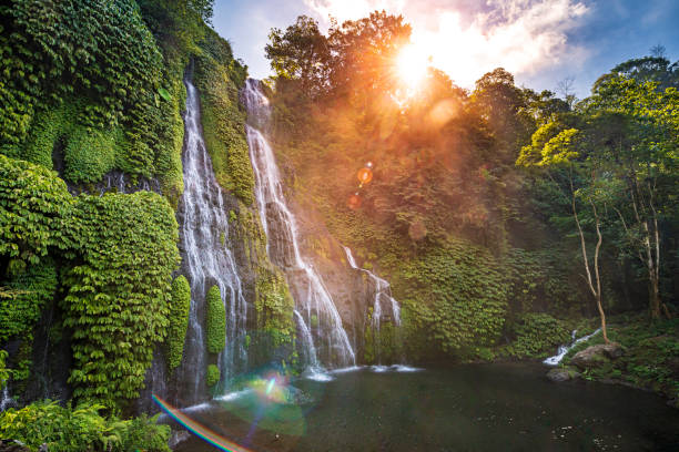 Beautiful waterfall in Bali The beautiful twin-waterfall Banyumala in the rainforest in Bali waterfall stock pictures, royalty-free photos & images